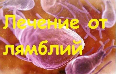 Лечении лямблии у взрослых отзывы