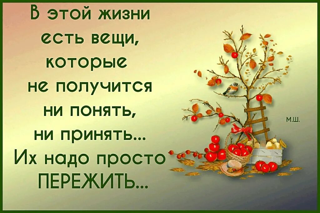 24 надо просто жить. Надо просто жить. В этой жизни есть вещи которые не получится ни понять. После того как человек пережил боль и горечь к нему приходит счастье. Переживу и эту боль и этот опыт мне во благо.