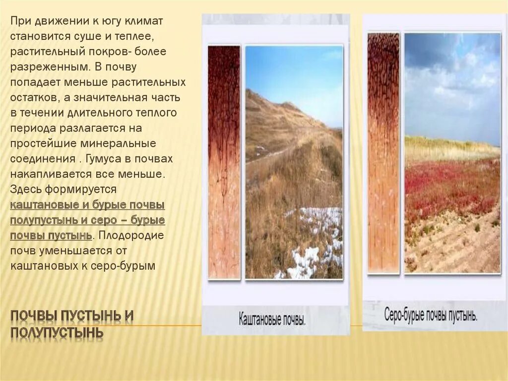 Какая почва в природной зоне пустыни. Почвы полупустынь в России. Полупустыни и пустыни почвы. Почвы пустынь и полупустынь в России 8 класс. Бурые полупустынные почвы.