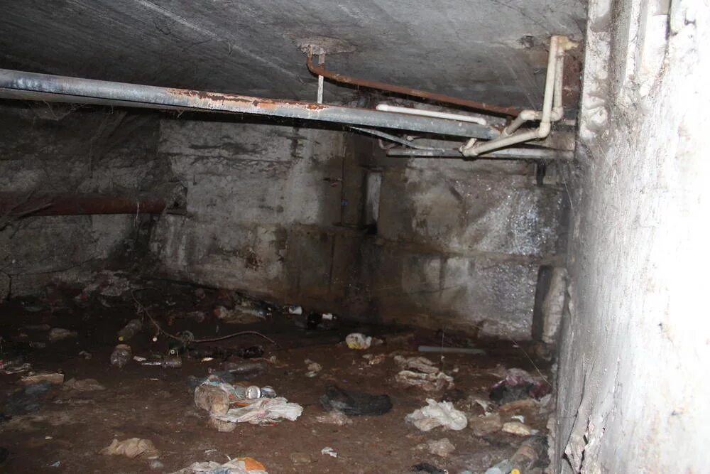 Цоколь производственного помещения. Собственники подвальных помещений. Состав общего имущества в доме. Собственники подвальных помещений. Нежилое помещение в мкд.