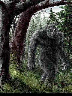 Bigfoot текст