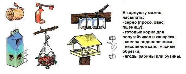 Какую крупу в кормушку для птиц. Разные виды кормушек. виды кормушек для птиц. конструкция кормушки для птиц. проект кормушка для зимующих птиц.