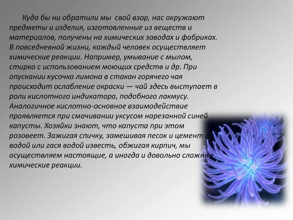 Химические реакции в жизни. Химические вещества в повседневной жизни. Химические реакции в жизни человека. Химические вещества в жизни человека.