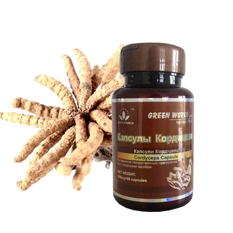 Кордицепс польза и вред. Кордицепс гриб. Capsule Cordyceps Plus Green World. Кордицепс Green World. Гриб карди кордицепс.