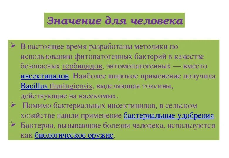 Каково значение бактерий в жизни человека впр. Значение бактерий в жизни человека. Значение бактерий в природе и жизни человека. Роль бактерий в природе. Серобактерии роль в природе.