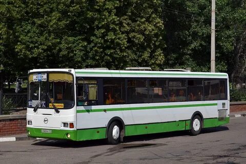 103 автобус губкин