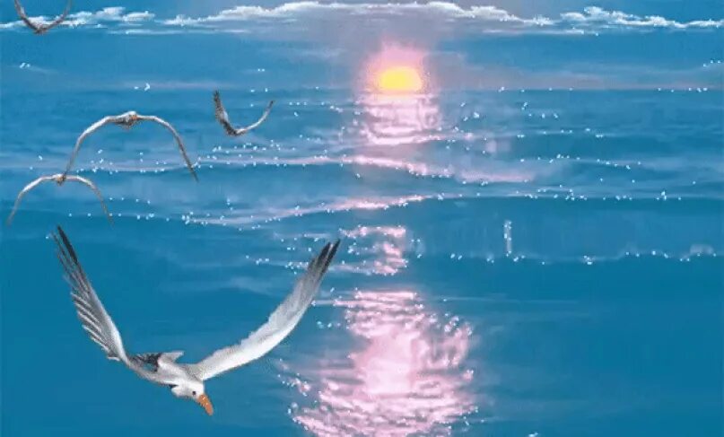 Чайки над морем анимация. Доброе утро Чайки над морем. Живое море. Доброе утро море Чайки.