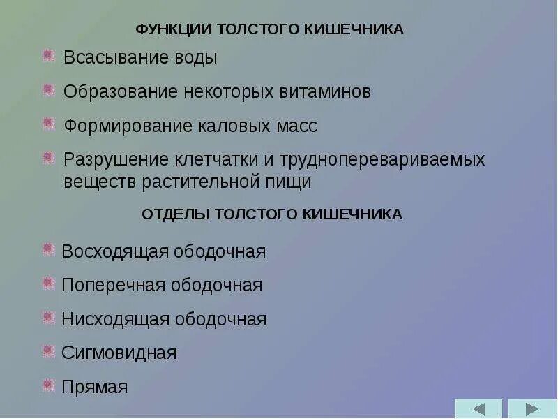 Роль толстой кишки. Функции Толстого кишечника. Функции толтсого уишечник. Фунукй Толстого кишечника. Основные функции толстой кишки.