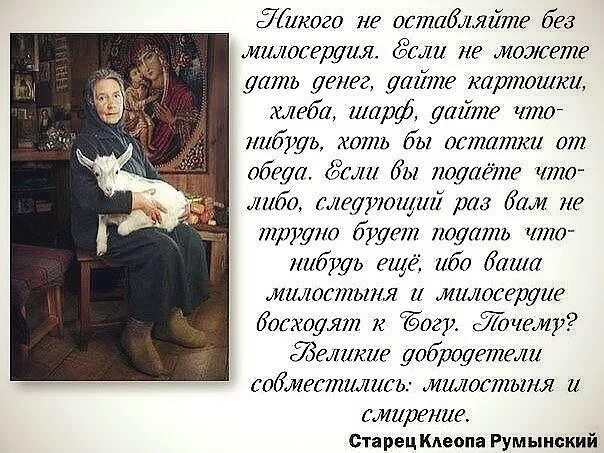 дети и бездомные животные. стихи о доброте и милосердии для детей. каждый да будет всегда милосердным к слабым. каждый да будет всегда милосердным к слабым. каждый да будет всегда милосердным к слабым.