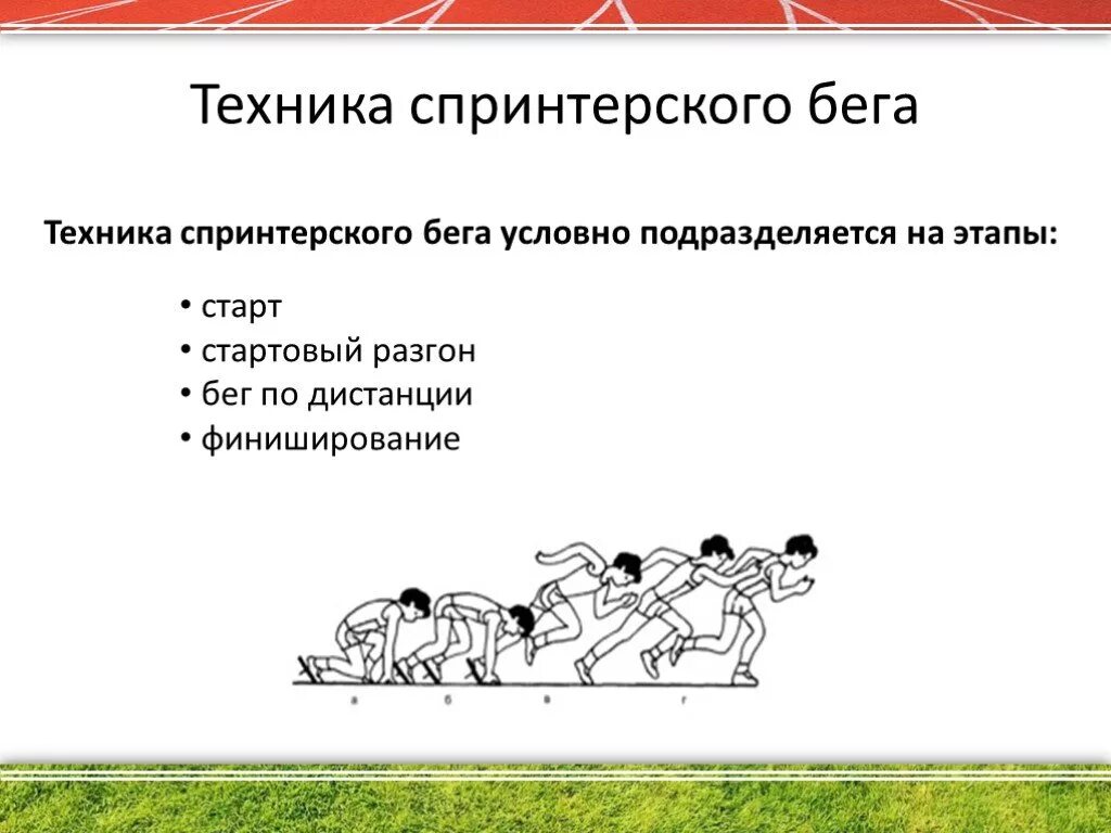 Техника выполнения кросса. Спринтерский бег техника. Формирование спринтерского бега. Спринтерский бег презентация. Фазы спринтерского бега.