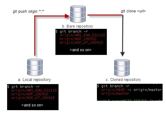 Git repository url. Git clone. git clow. clone git repository. git clone npm install.