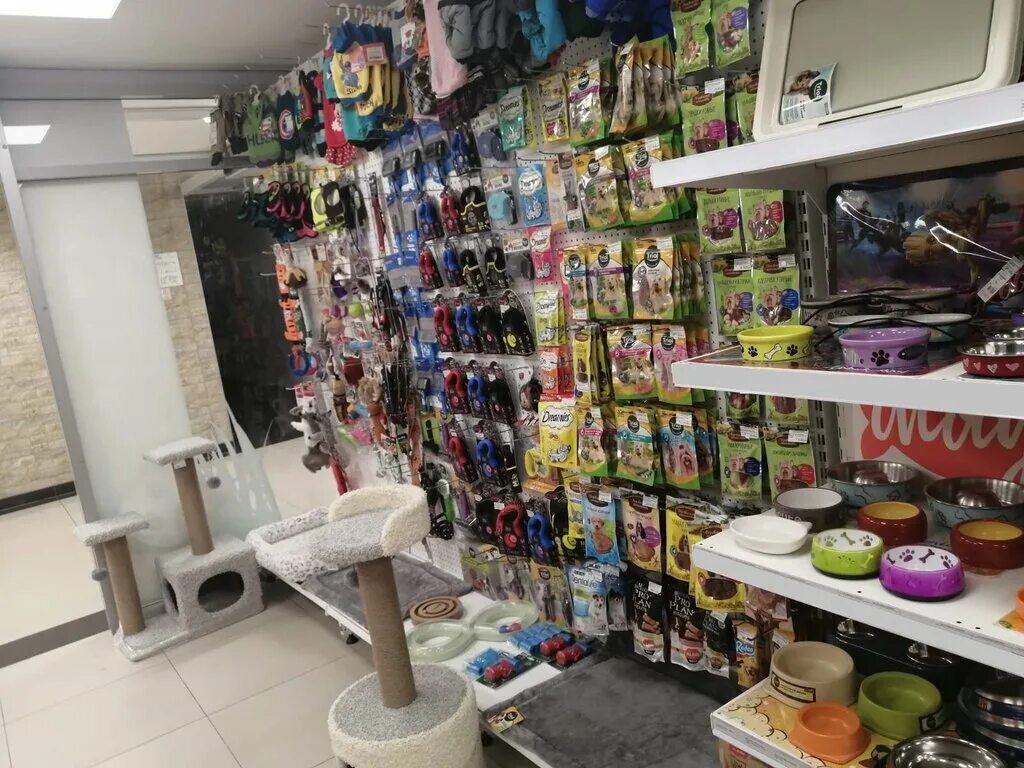 Nm store омск. Зоомагазин Брянск. Магазин Брянск. Брянск проспект станке Димитрова 67. Фото товаров в магазинах в Брянске.