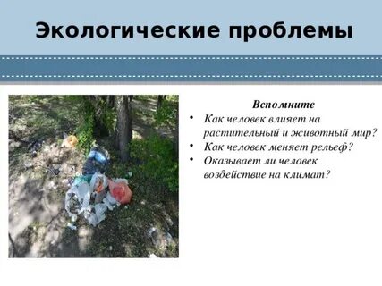 Воздействие на животный и растительный мир
