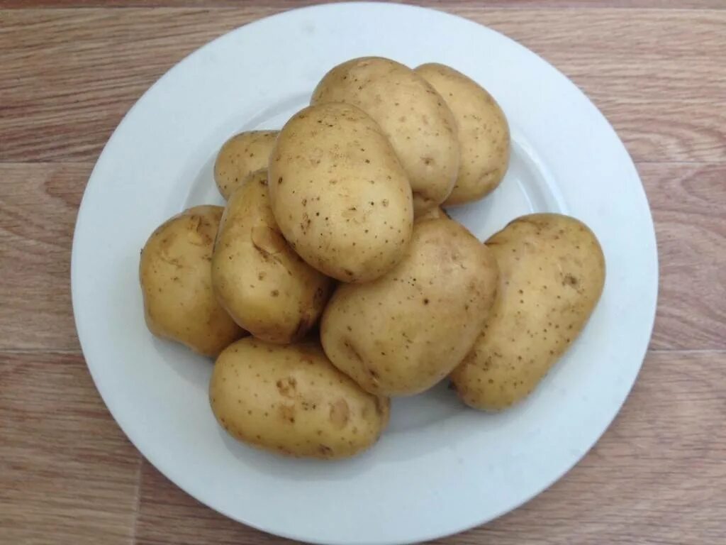 Сорт картофеля удача характеристика. Картофель удача невский. картофель семенной удача. картофель удача элита. картофель семенной удача элита 3кг.