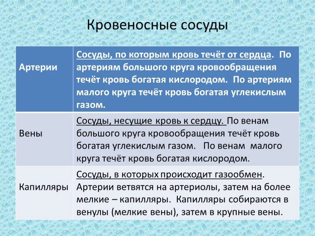 Таблица сосудов человека. Типы кровеносных сосудов таблица. Кровеносные сосуды таблица. Строение и функции сосудов таблица. Строение кровеносных сосудов таблица.