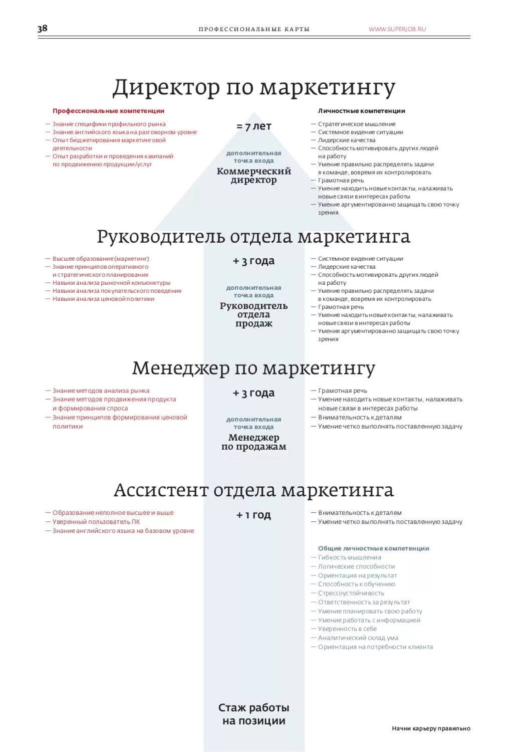 Компетенции директора по маркетингу. Профессиональные компетенции руководителя отдела маркетинга. Навыки для специалиста по маркетингу. Навыки директора по маркетингу. Компетенция маркетинга