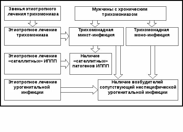 Лечение трихомонады у мужчин. Трихомониаз у мужчин лечение препараты схема лечения. Схема лечения при трихомониазе у женщин. Схема лечения трихомонады. Схема лечения хронического трихомониаза.