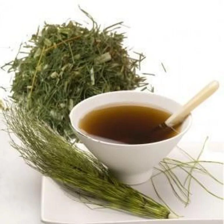 Подагра хвощ. Хвощ для похудения чай. Хвощ полевой шишки. Хвощ полевой чай. Подагра хвощ.