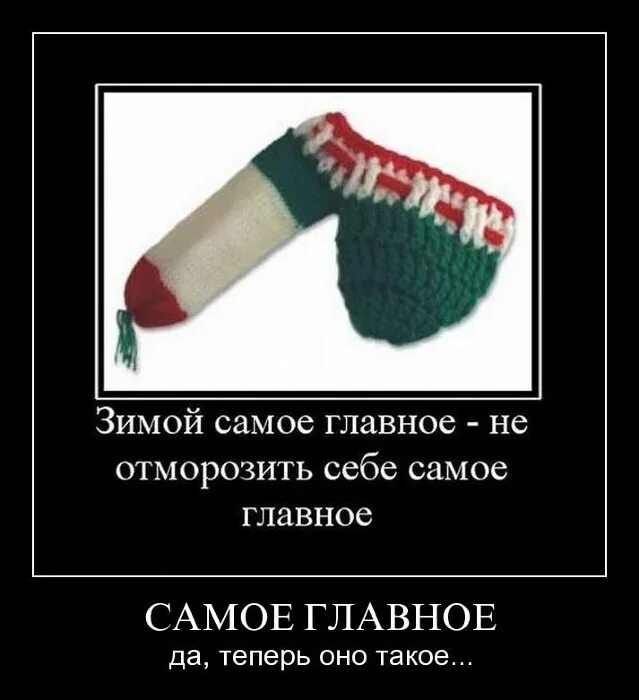 к зиме готов фото. фото к зиме готова. похолодало с котиком. подготовка машины к зиме. зиме готовы.