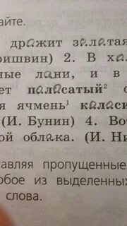 Полоска по составу 4 класс