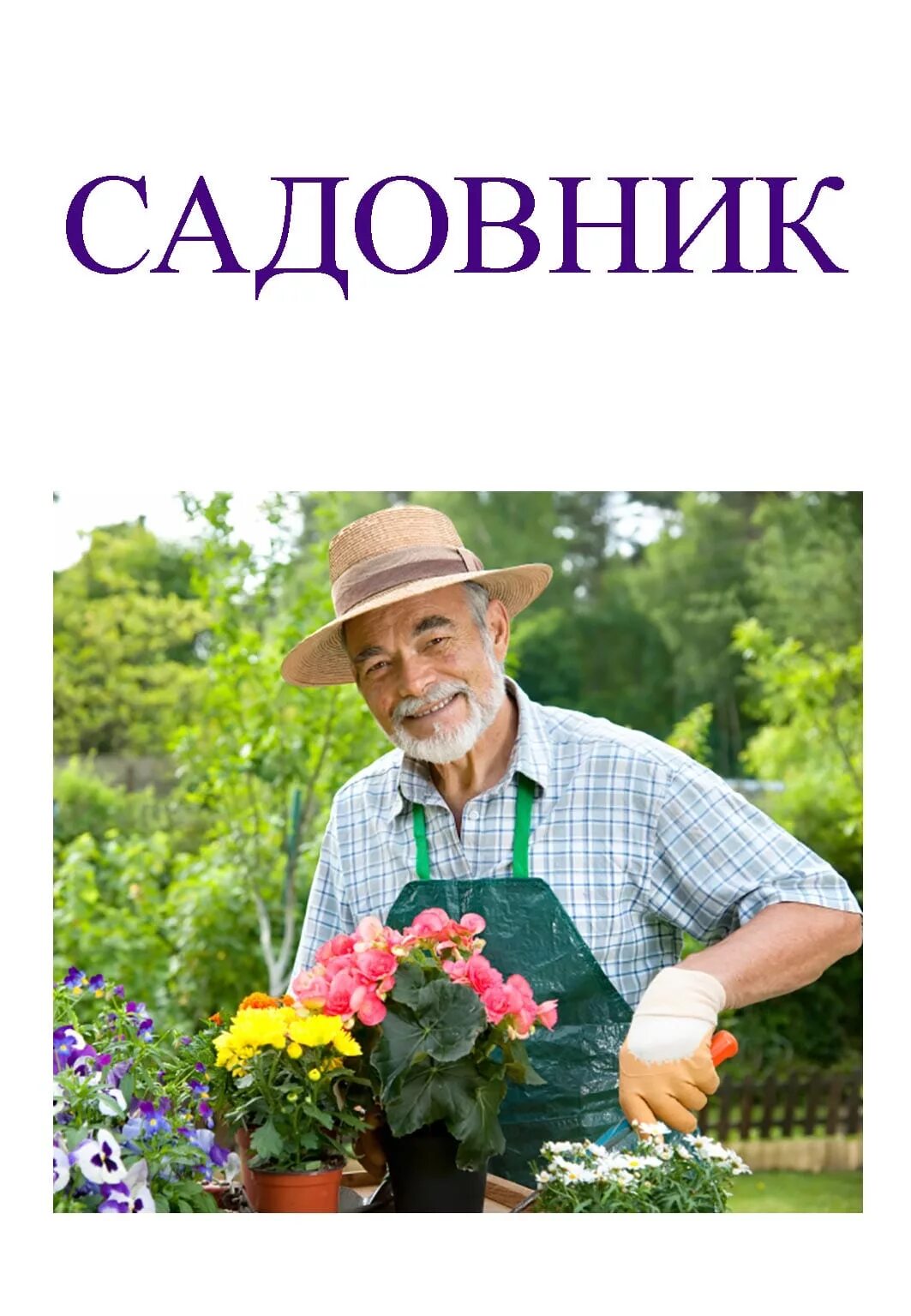 Профессия садовник. Профессия садовник для детей. Садовод профессия для детей. Садовод профессия.