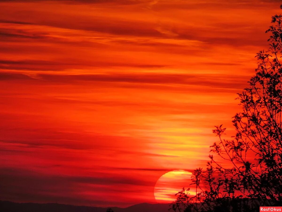 пламенный закат. пламенный закат. пламенный закат. огненный рассвет. пламенный закат.