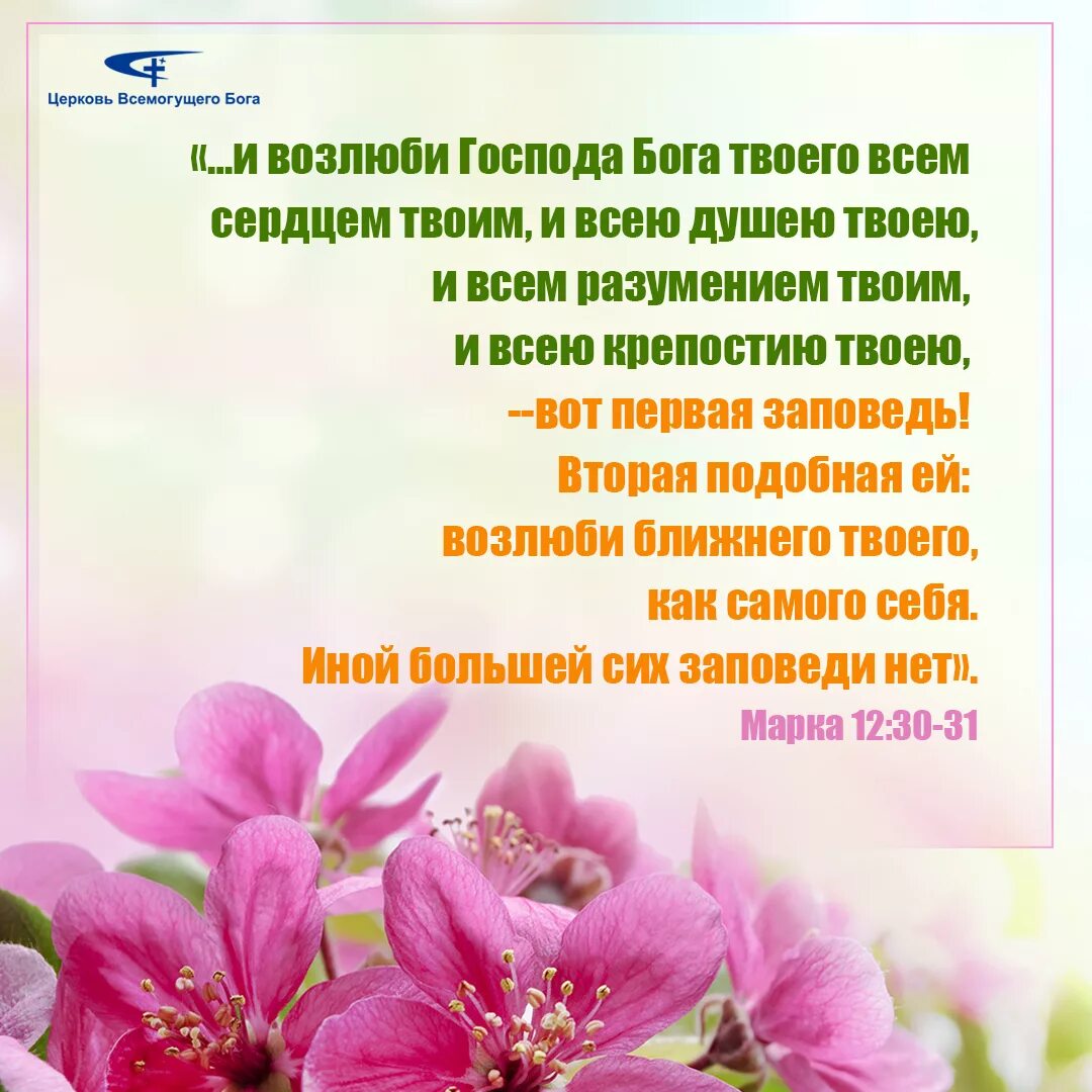 Возлюби господа всем сердцем твоим. Возлюби Господа Бога твоего всем сердцем твоим и всею душею твоею. Возлюби Господа Бога. Библия Возлюби Господа Бога твоего всем сердцем твоим. Где написано Возлюби Господа всем сердцем твоим.