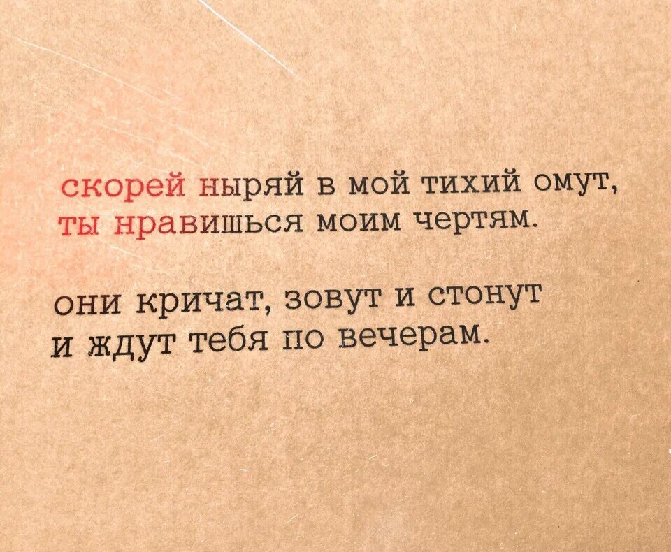 Что значит в тихом омуте черти. Скорей ныряй в мой тихий омут. Выражение в омут с головой. В тихом омуте цитаты. В тихом омуте черти водятся стих.