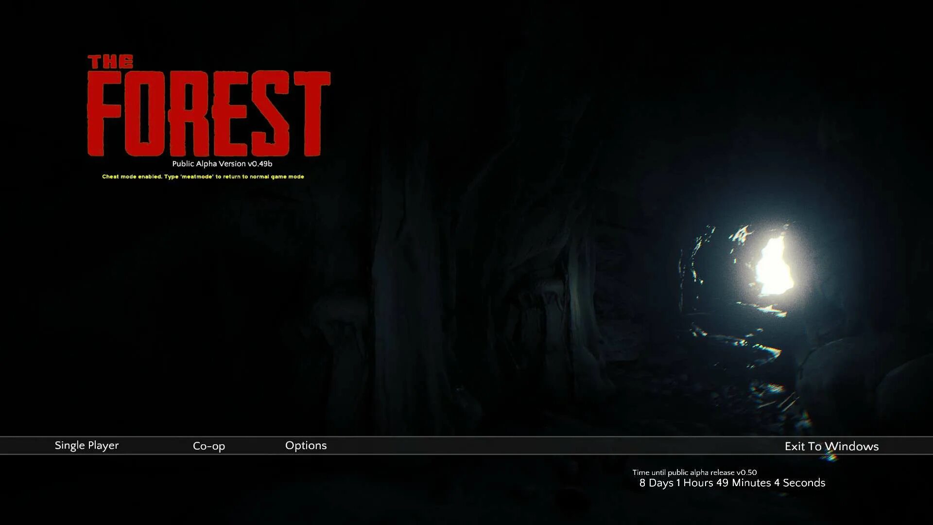 The Forest читы. The Forest ps4. Чит коды на the Forest. The Forest пс4 1.15 читы. Сан зе форест читы