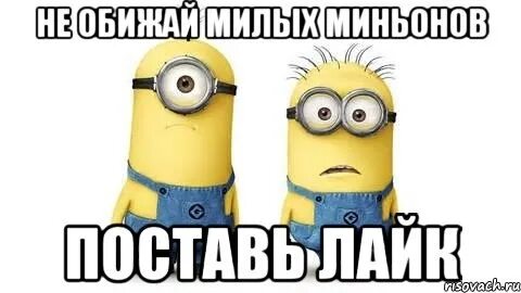 Вика соберись