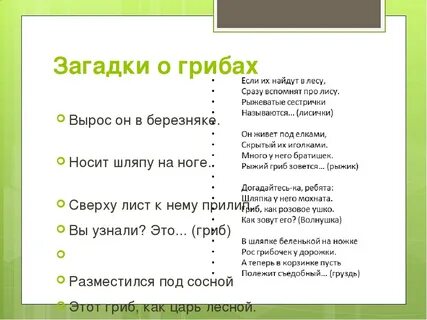 3 загадки про грибы
