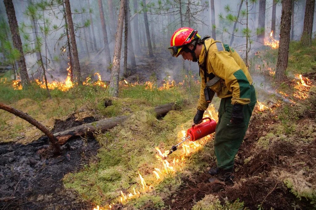Охрана лесов от пожаров. Борьба с лесными пожарами. Тушение лесных пожаров. Сохранение лесов от пожаров.