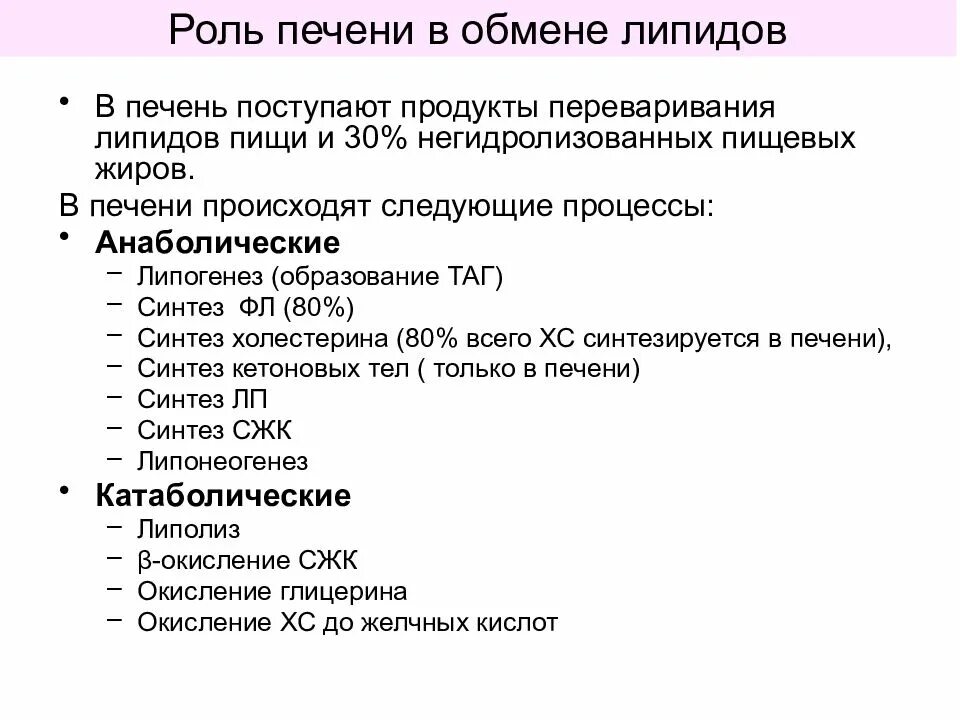 В печени происходит образование. Какие процессы происходят в печени. Процессы обмена липидов в печени. Процессы проходящие в печени. Процессы которые происходят в печени человека.