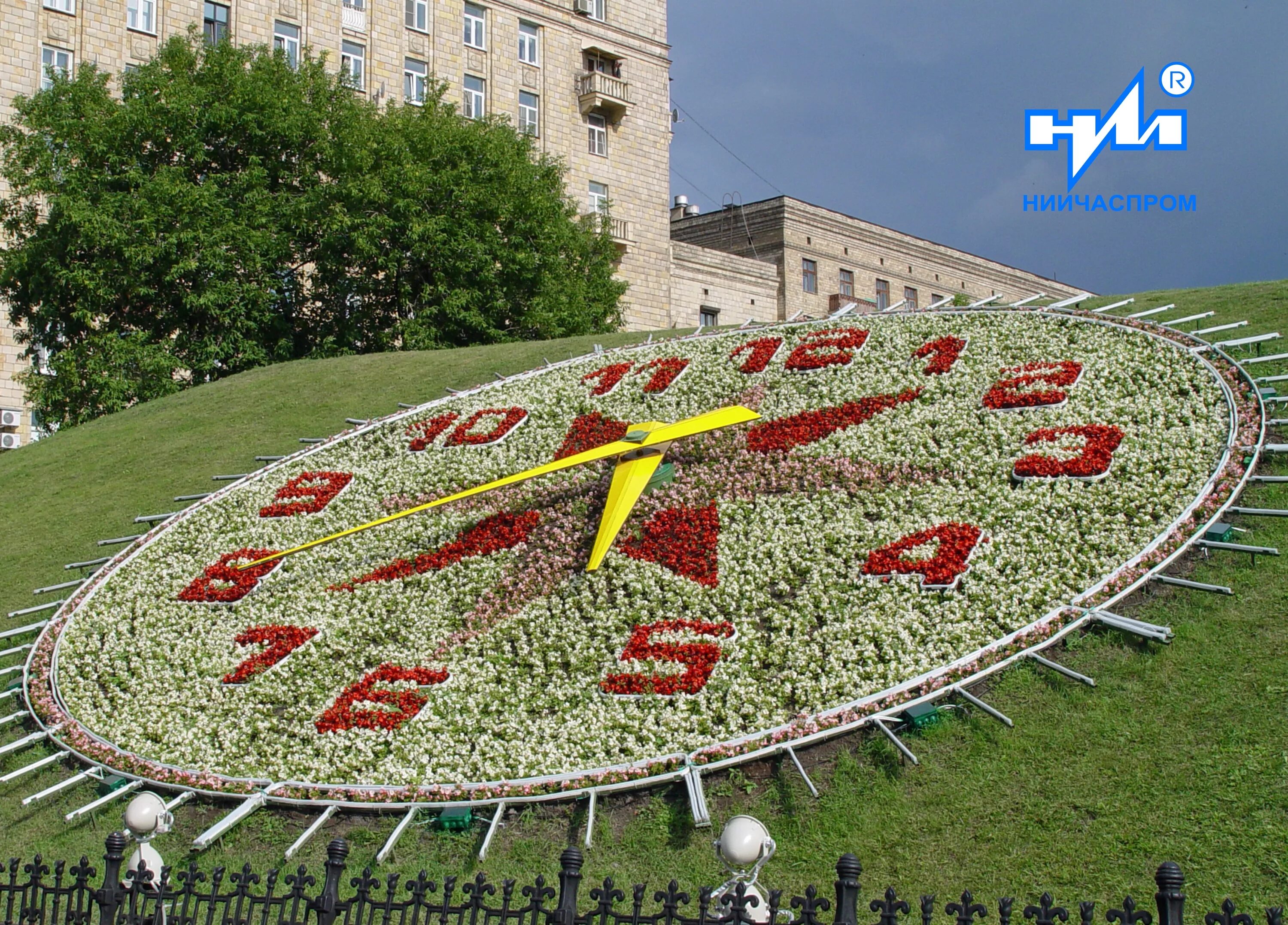 Цветочные часы краснодар. Поклонная гора в Москве клумбы. Цветочные часы Поклонная гора. Часы цветы Поклонная гора в Москве. Часы на Поклонной горе в Москве клумба.