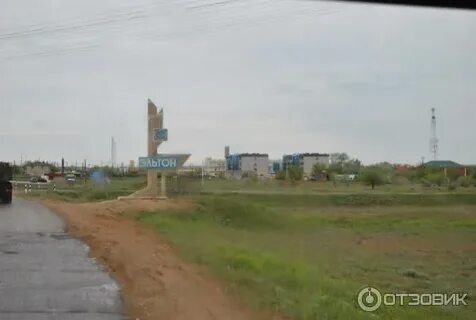 Ромашки волгоградская область