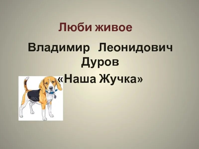 Рассказ дурова наша жучка. В Л Дуров наша жучка 3 класс. Рассказ наша жучка. Дуров наша жучка иллюстрации.