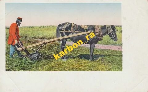 Крестьянин сканворд 5