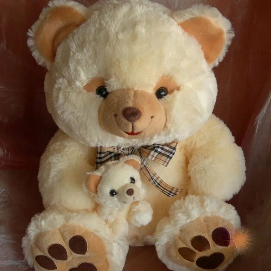 Мишки в поисках. Алиса найди мишек. Мягкие игрушки. Домик для тедди. Алиса найди мишек.