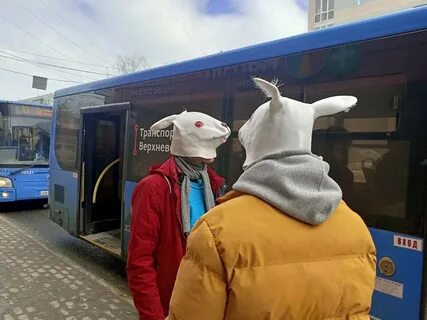 Проехать зайцем