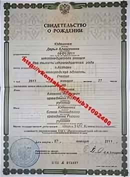 Две тысячи шестнадцатого года