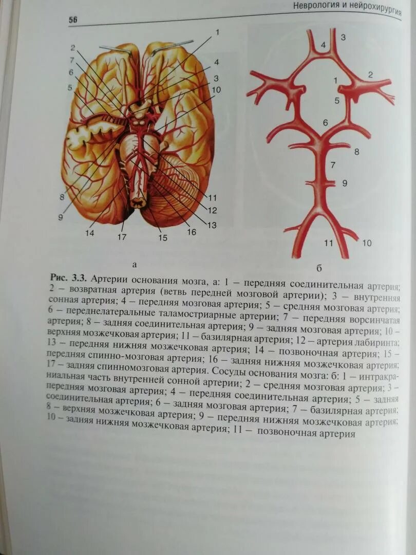 Учебник нейротравматология Коновалов. Учебник по нейрохирургии. Неврология книги. Учебник по неврологии.