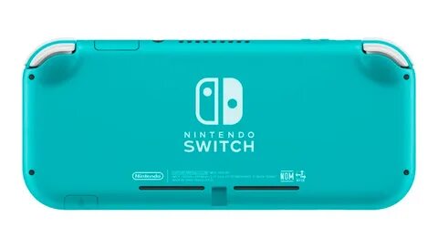 Switch lite dns