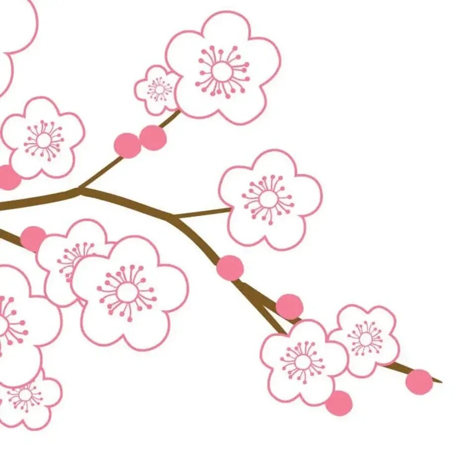 Ветка Сакуры. Рисование цветущей ветки. Сакура рисунок. Ветка Сакуры для рисования.