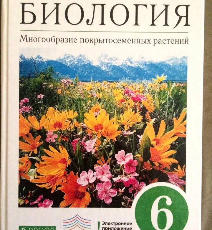 Пасечник рабочая тетрадь Вертикаль. Пасечник биология. Пасечник 6 класс. Биология 6 кл Пасечник.