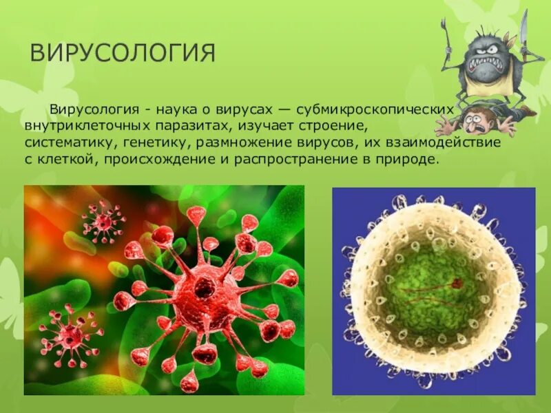 Что изучает вирусология. Объекты изучения вирусологии. Микробиология в медицине. Цели и задачи вирусологии. Задачи медицинской вирусологии.