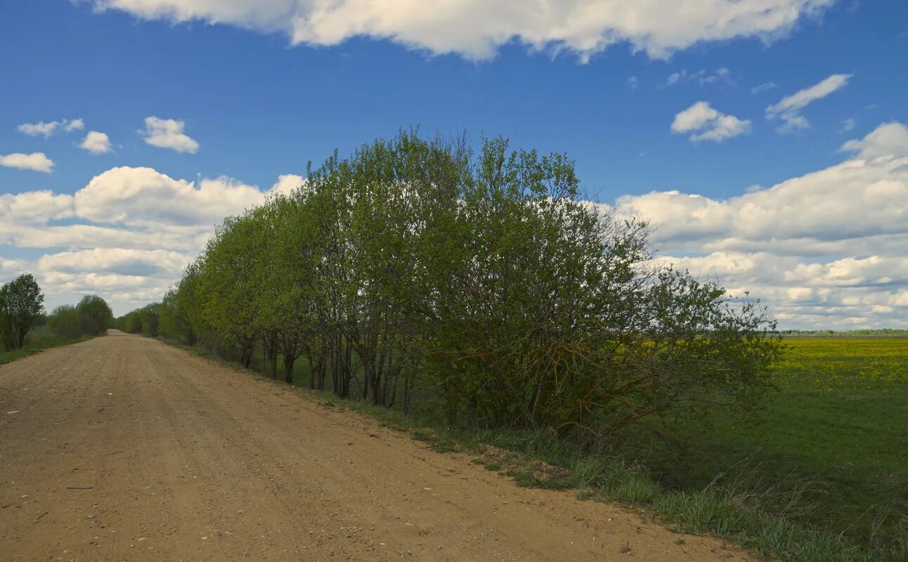 Село долбино. Деревня высокое. Семлевское озеро. Река тьма торжокского района. Тверская область храм на берегу.