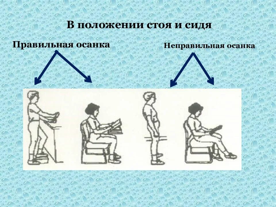 Положение со. Правильная осанка в положении сидя. правильное положение осанки стоя и сидя. правильная осанка стоя и сидя. осанка в положении стоя и сидя.