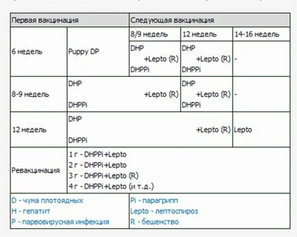 Название прививки для собак в 2 месяца. Какие прививки делать собаке в год. Прививки собакам по возрасту таблица. Схема прививок для щенков до года. Схема прививок нобивак для щенков.