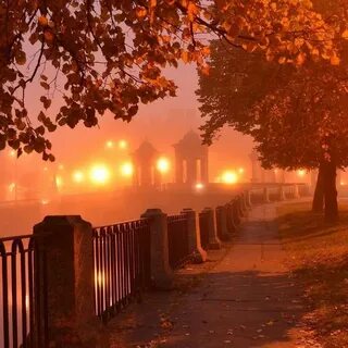 Петербург ночь осень