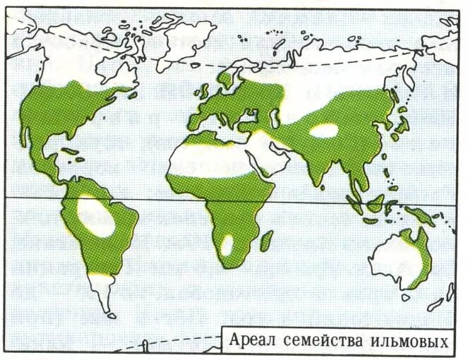 Место обитания деревьев